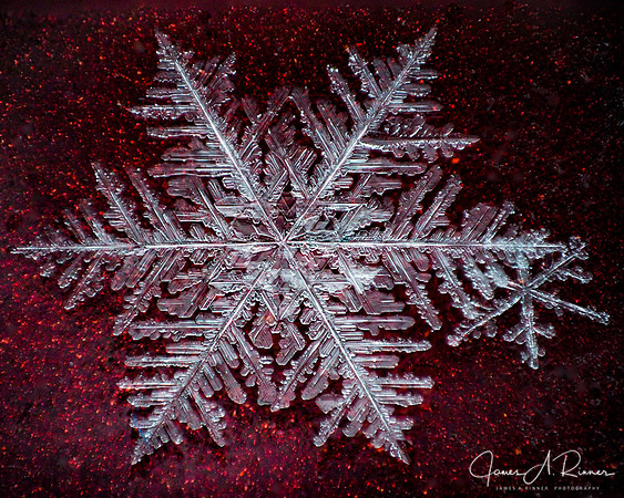 Snowflake 2019-04