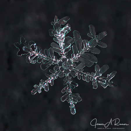 Snowflake 2015-018