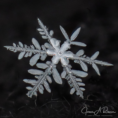 Snowflake 2017-04