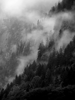Fog Alps Switzerland 2003 Olympus E-10