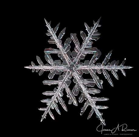 Snowflake 2018-06