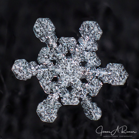 Snowflake 2017-21