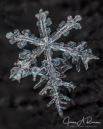 Snowflake 2017-06