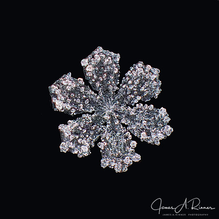 Snowflake 2016-039