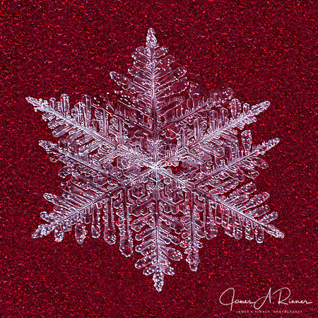 Snowflake 2019-05