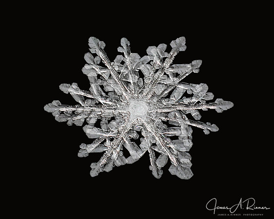 Snowflake 2016-001