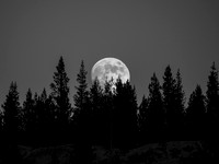 Moonrise, Glen Aulin High Sierra Camp, 2012