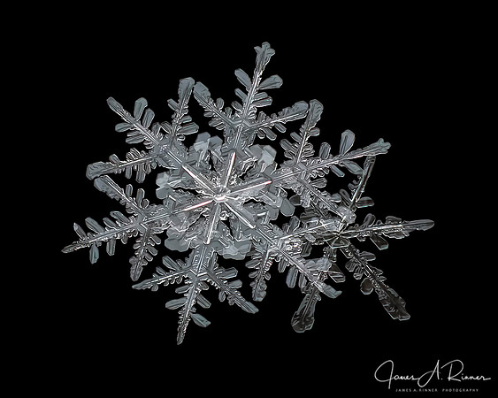 Snowflake 2016-013