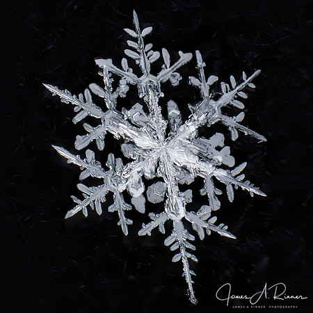 Snowflake 2017-36