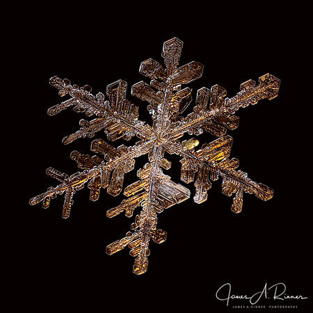 Snowflake 2016-042