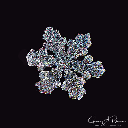 Snowflake 2016-040