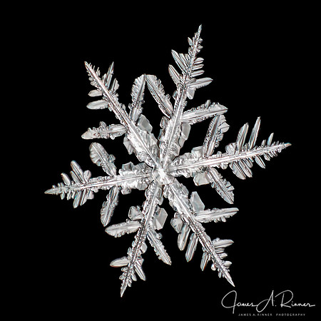 Snowflake 2018-04