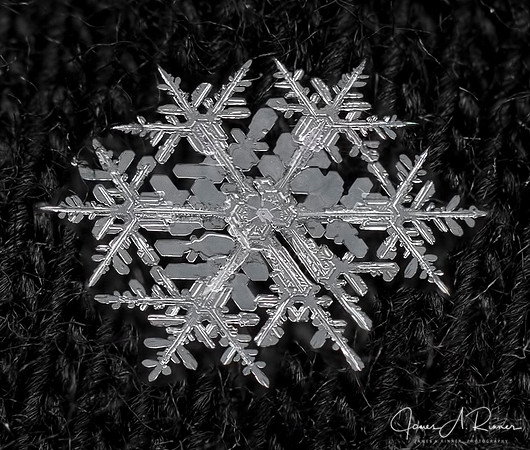 Snowflake 2016-02