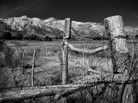 Fence, Alabama Hills, CA, 1984