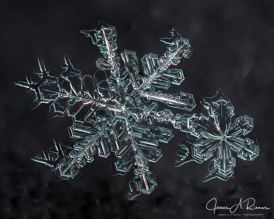 Snowflake 2015-023