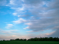 Sunset, Wheat Field, Raymond, WI 2006