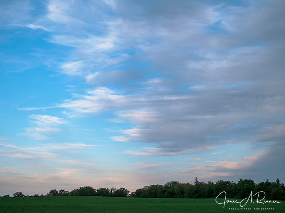 Sunset, Wheat Field, Raymond, WI 2006