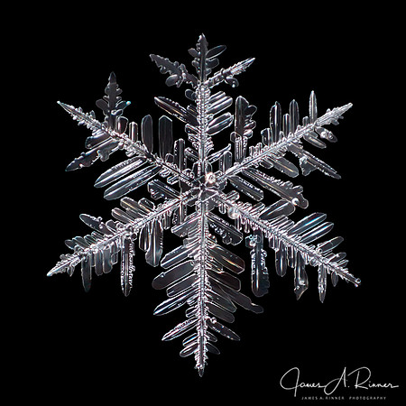 Snowflake 2018-02