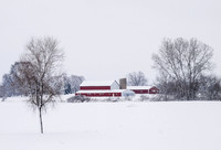 Fresh Snow, Raymond WI 2007