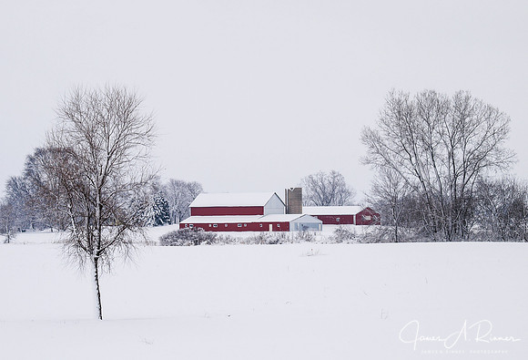 Fresh Snow, Raymond WI 2007