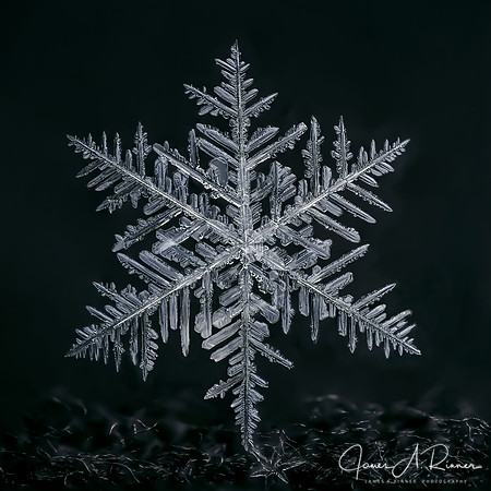 Snowflake 2015-008