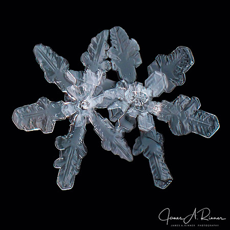 Snowflake 2017-24